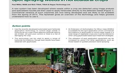 Spot spraying weeds in horticultural crops